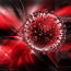 Virus